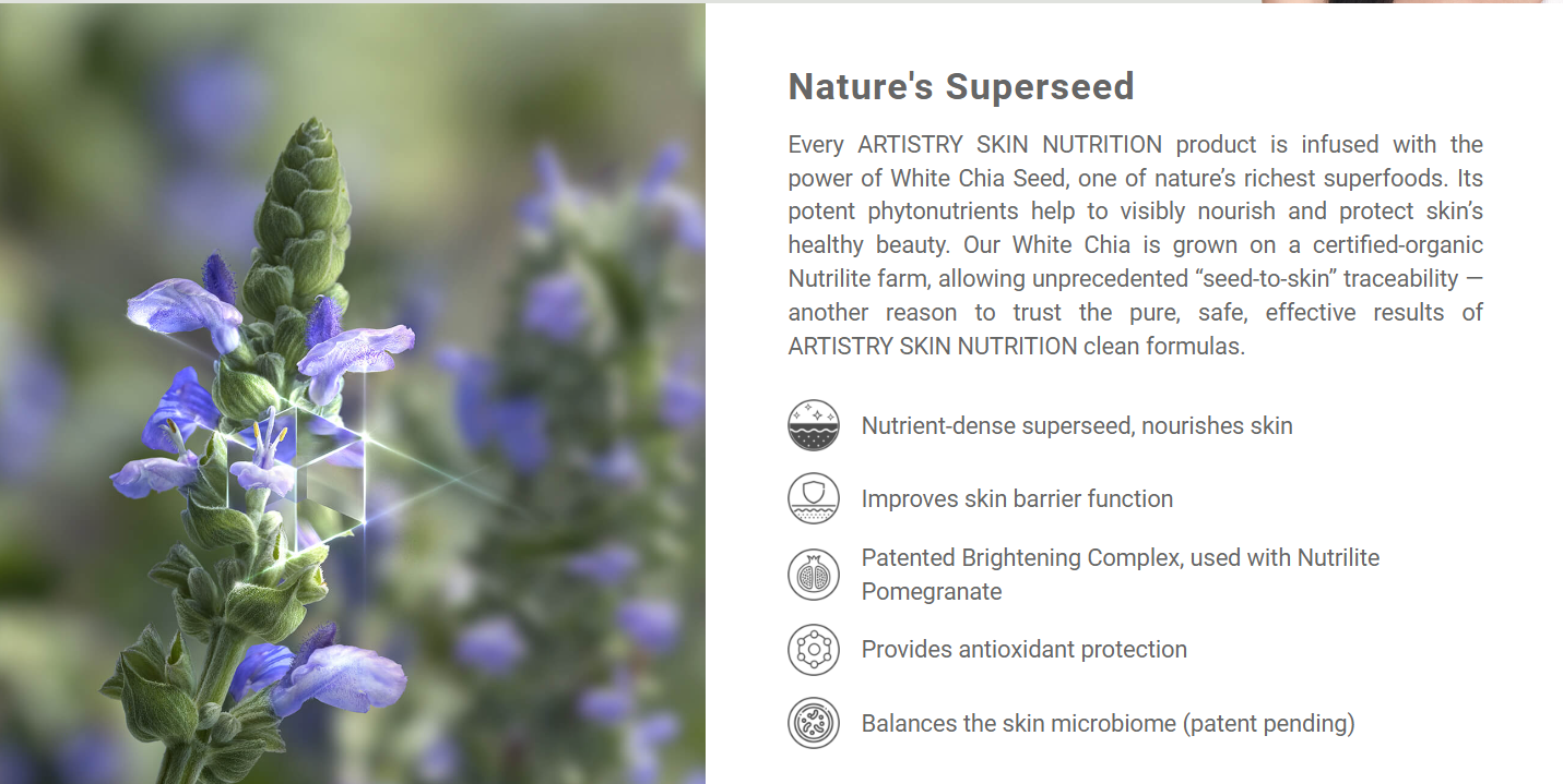 ARTISTRY SKIN NUTRITION HYDRATING GEL CREAM