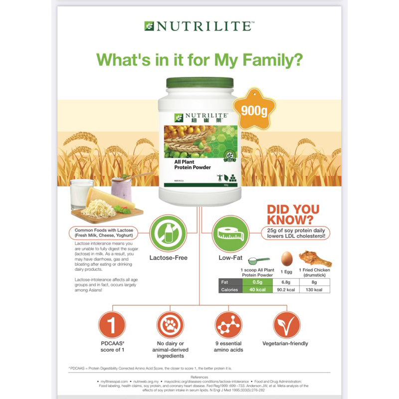 All Plant Protein Powder