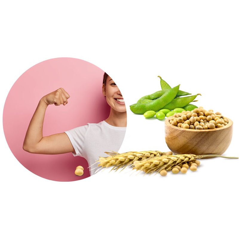 Meal Replacement Shake